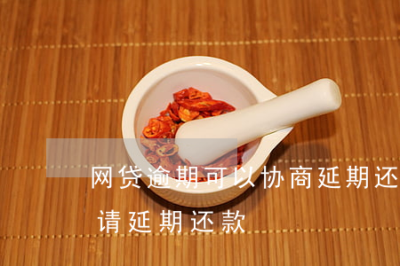 网贷逾期可以协商延期还款吗-网贷如何申请延期还款