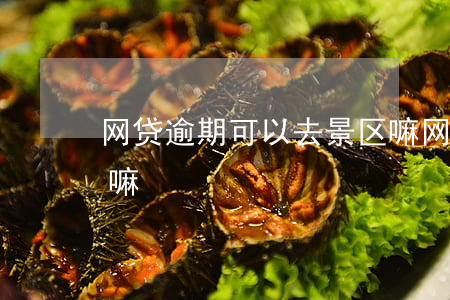 网贷逾期可以去景区嘛(网贷逾期可以去景区嘛)