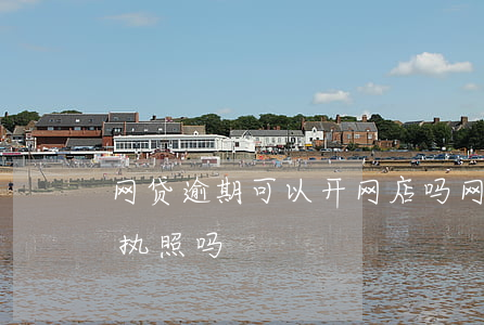 网贷逾期可以开网店吗(网贷逾期可以办营业执照吗)