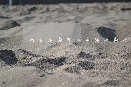 网贷逾期可以申请延期吗(网贷怎么申请延期)