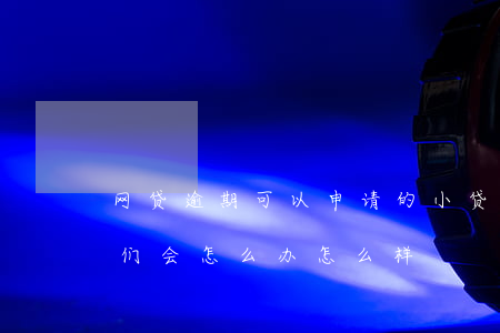 网贷逾期可以申请的小贷(网贷如果逾期了他们会怎么办怎么样)