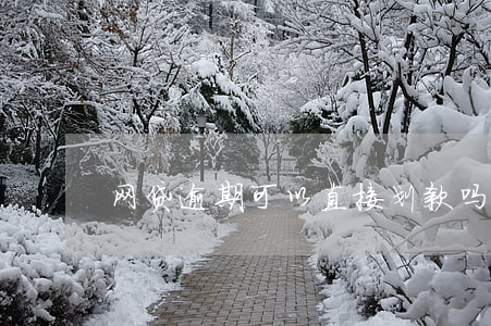网贷逾期可以直接划款吗