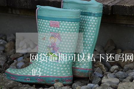 网贷逾期可以私下还吗(网贷逾期了还能下款吗)