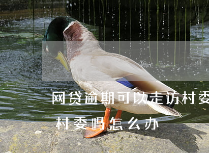网贷逾期可以走访村委吗(网贷逾期可以走访村委吗怎么办)