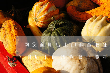 网贷逾期后上门调查取证能拒绝吗-网贷逾期后上门调查取证能拒绝吗知乎