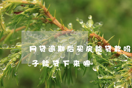 网贷逾期后买房能贷款吗(网贷逾期贷款买房子能贷下来嘛)