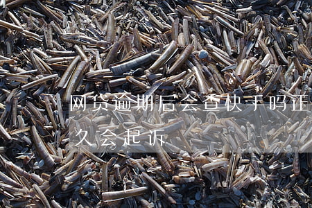网贷逾期后会查快手吗(正规网贷平台逾期多久会起诉)