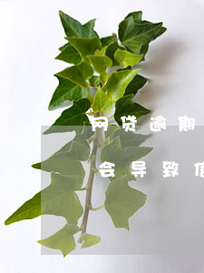 网贷逾期后信用卡会不会降额（借了网贷逾期会导致信用卡降额吗）
