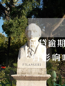 网贷逾期后再考虑还钱(网贷逾期还完之后还有影响吗)