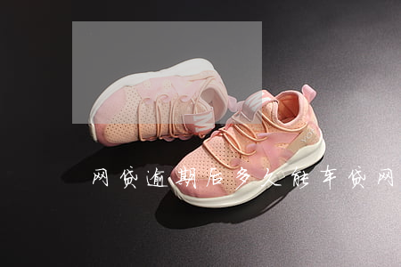 网贷逾期后多久能车贷(网贷逾期车贷能过吗)