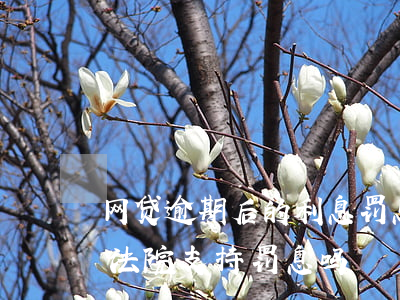 网贷逾期后的利息罚息法院怎么判(网贷逾期法院支持罚息吗)