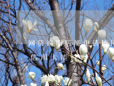 网贷逾期后能申请信用卡吗 网贷有逾期申请信用卡能过吗
