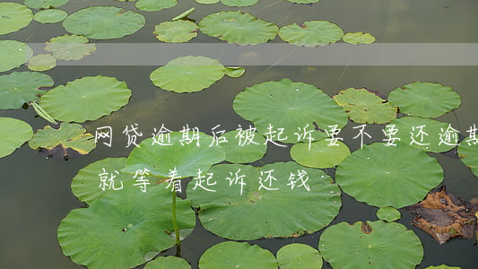 网贷逾期后被起诉要不要还逾期费（网贷逾期就等着起诉还钱）