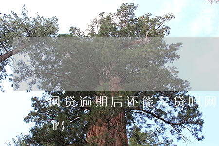 网贷逾期后还能车贷吗(网贷逾期可以办车贷吗)