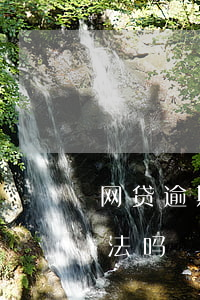 网贷逾期后逾期费用高吗(网贷逾期利息高合法吗)