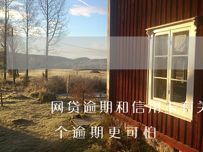 网贷逾期和信用卡有关系吗（信用卡和网贷哪个逾期更可怕）