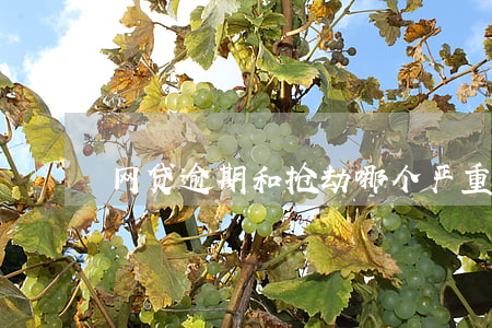 网贷逾期和抢劫哪个严重(网贷逾期犯法吗)