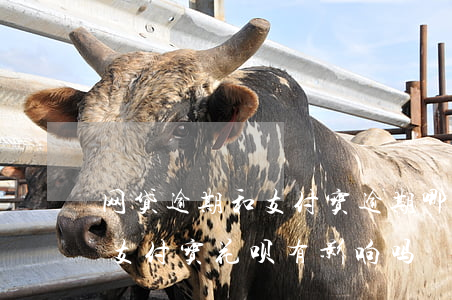 网贷逾期和支付宝逾期哪个重要 网贷逾期对支付宝花呗有影响吗