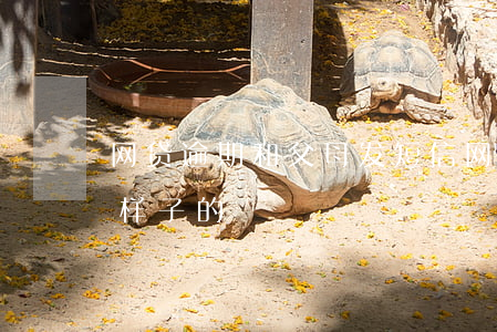 网贷逾期和父母发短信(网贷逾期短信是什么样子的)