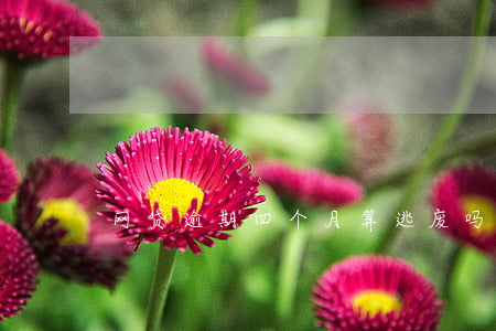 网贷逾期四个月算逃废吗(网贷逾期四年)