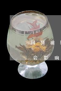 网贷逾期四天会被起诉吗(网贷逾期四天会不会影响多久)
