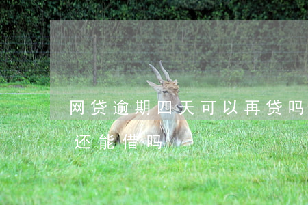 网贷逾期四天可以再贷吗(网贷逾期几天还了还能借吗?)