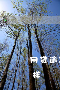 网贷逾期四天多久恢复(网贷逾期四天会怎么样)