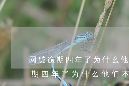 网贷逾期四年了为什么他们不起诉-网贷逾期四年了为什么他们不起诉我