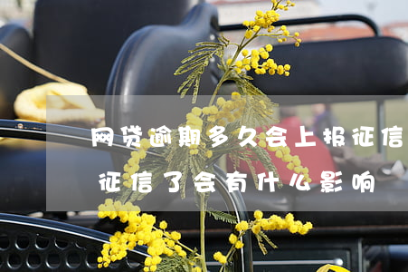 网贷逾期多久会上报征信(网贷逾期2天上报征信了会有什么影响)