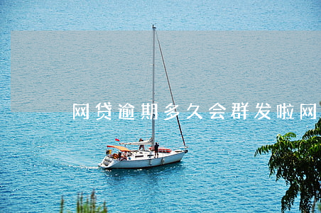网贷逾期多久会群发啦(网贷逾期会发短信吗)