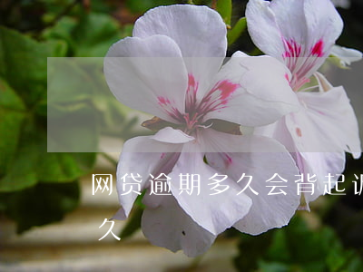 网贷逾期多久会背起诉呢(网贷逾期起诉要多久)