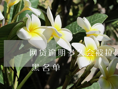 网贷逾期多久会被拉黑(网贷逾期多久会被拉黑名单)