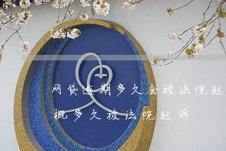 网贷逾期多久会被法院起诉（网贷逾期未还大概多久被法院起诉）