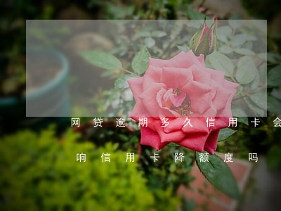 网贷逾期多久信用卡会降额(网贷逾期了会影响信用卡降额度吗)