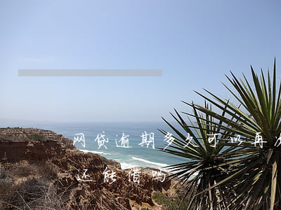 网贷逾期多久可以再次还(网贷逾期几天还了还能借吗?)