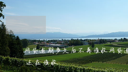 网贷逾期多久后不再催收(网贷逾期好几年了还在催收)