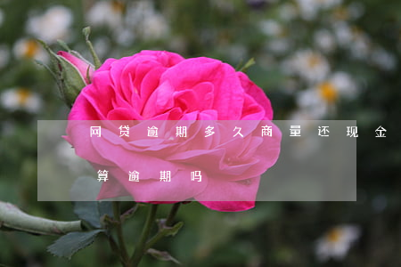 网贷逾期多久商量还现金(网贷迟还了几分钟算逾期吗)