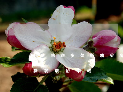 网贷逾期多久影响买房(之前有过网贷逾期贷款买房影响吗)