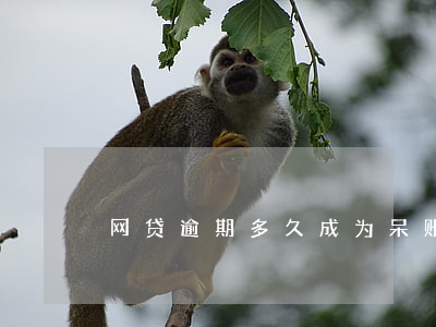 网贷逾期多久成为呆账