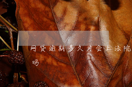 网贷逾期多久才会上法院 网贷逾期会上法院吗