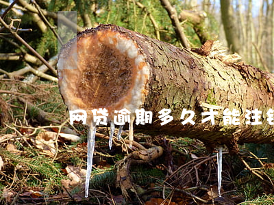 网贷逾期多久才能注销(网贷逾期能恢复吗)