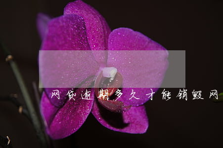 网贷逾期多久才能销毁(网贷逾期多久会消除)