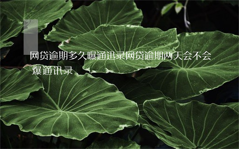 网贷逾期多久曝通迅录(网贷逾期两天会不会爆通讯录)