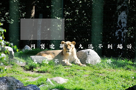 网贷逾期多久达不到起诉条件-网贷逾期多久达不到起诉条件