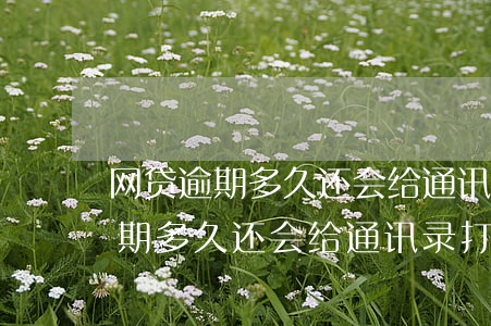 网贷逾期多久还会给通讯录打电话-网贷逾期多久还会给通讯录打电话呢