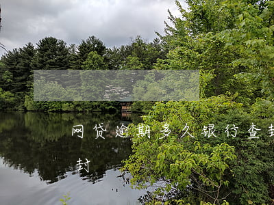 网贷逾期多久银行查封(网贷逾期多久银行查封)