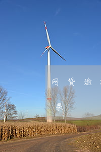 网贷逾期多少会下传票(网贷传票会有什么后果)