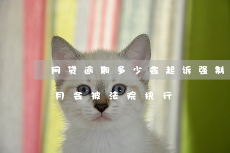 网贷逾期多少会起诉强制执行(网贷逾期几个月会被法院执行)