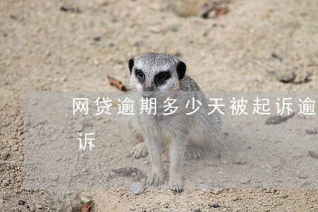 网贷逾期多少天被起诉(逾期网贷多久会被起诉)