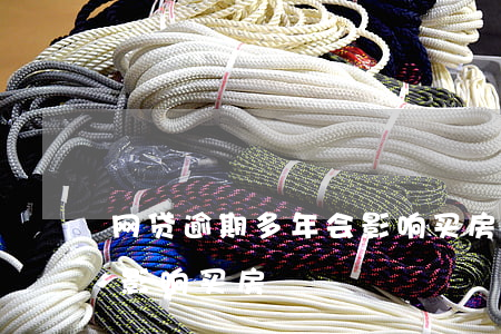 网贷逾期多年会影响买房子 网贷逾期多久会影响买房